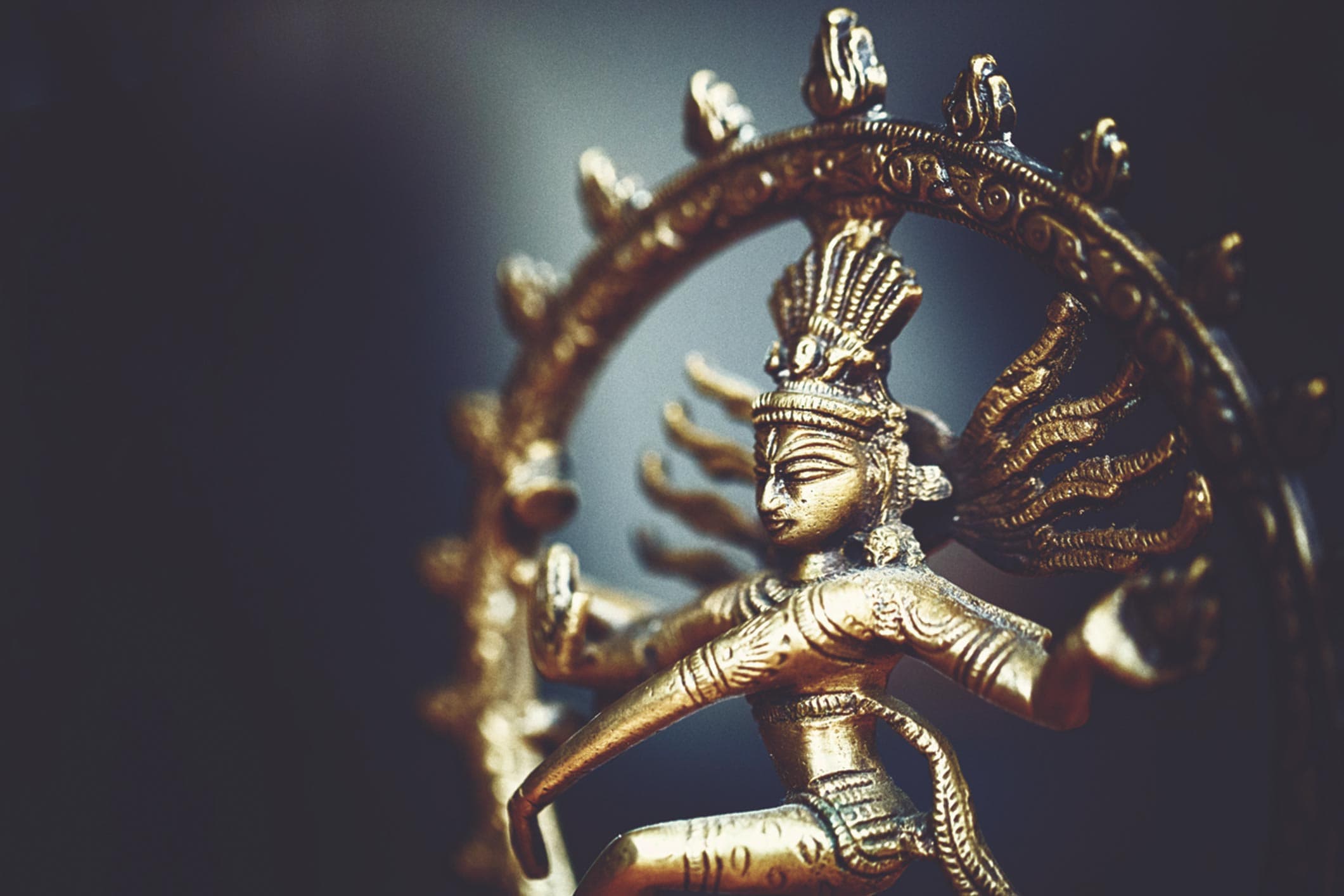 Shaiva Studies banner